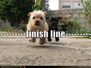 Getting to the novel writing finish line!