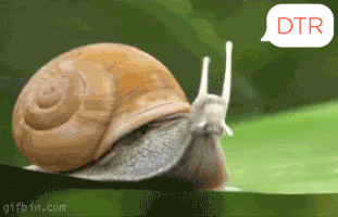 Snail that grows rockets out of its shell